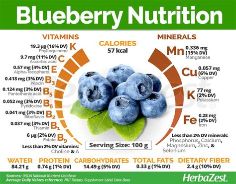 Blueberry Nutri